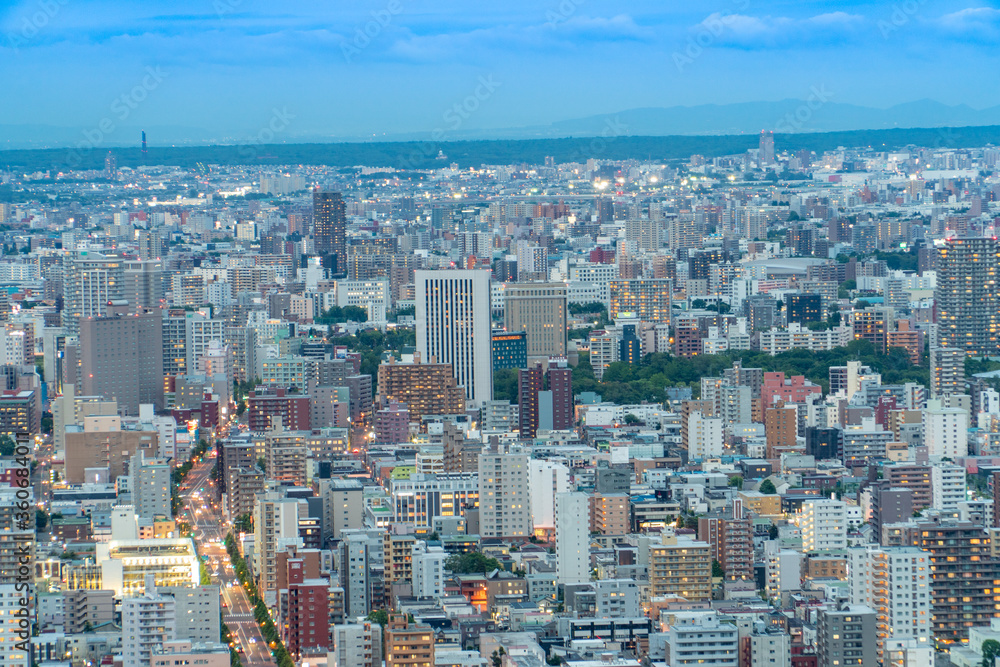 Sapporo Mt.Maruyama City View
札幌円山夜景 Sapporo Mt.Maruyama City View
札幌円山夜景