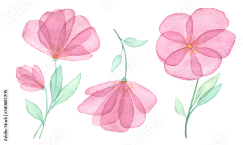 Watercolor flower set of purple flowers with transparent petals isolated on a white background. Hand drawing. For invitations, greeting cards, wedding decor, textiles, Wallpaper.