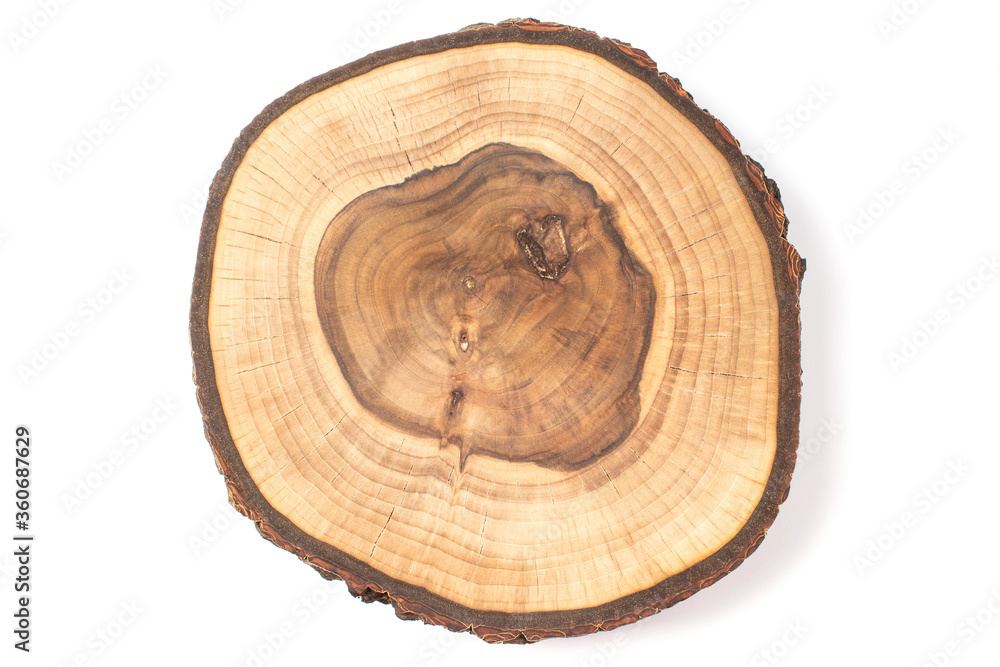 Wood slice isolated on white background Wood slice isolated on white background