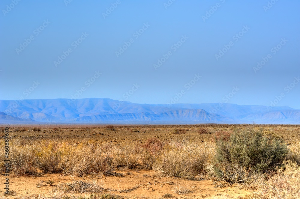 Tankwa Karoo National Park, Northern Cape, South Africa showing typical scenery and vegetation Tankwa Karoo National Park, Northern Cape, South Africa showing typical scenery and vegetation