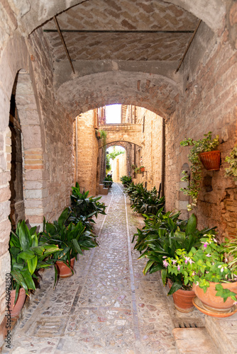 alleys of spello decorated with plants and characteristic flowers