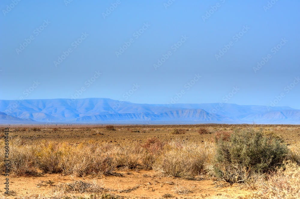 Tankwa Karoo National Park, Northern Cape, South Africa showing typical scenery and vegetation