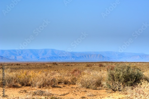 Tankwa Karoo National Park  Northern Cape  South Africa showing typical scenery and vegetation