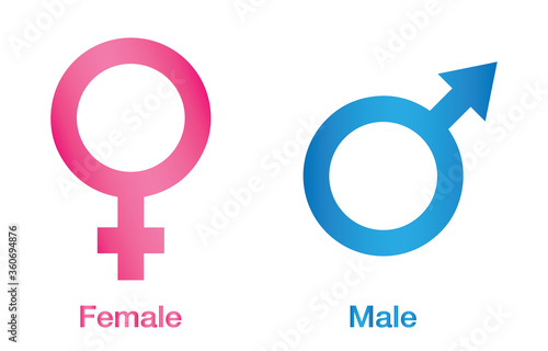 Vector illustration of gender icon man and woman. Sex symbol. Gender icon male and female symbol. Gender symbol pink and blue icon