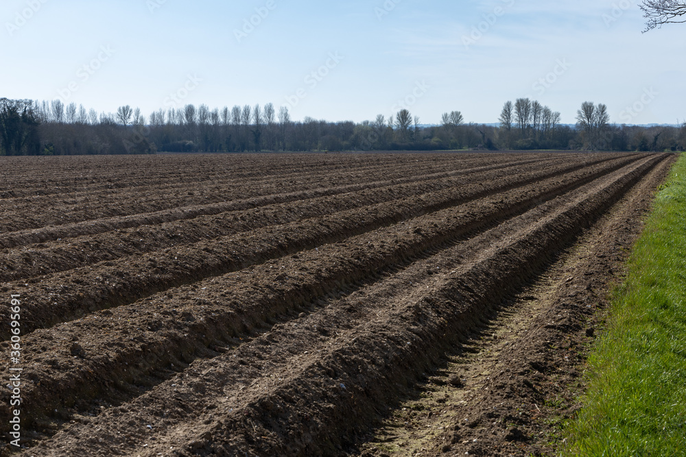 Ploghed Field in Cambridge Ploghed Field in Cambridge