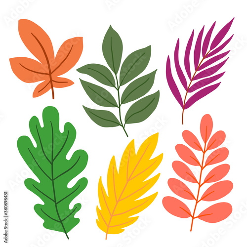 Set of colorful leaves on a white background in vector graphics. For the design of postcards, botanical illustrations, prints on covers, textiles, t-shirts, dishes