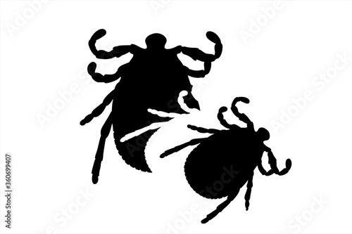 Vector silhouette of tick. Symbol of insect.