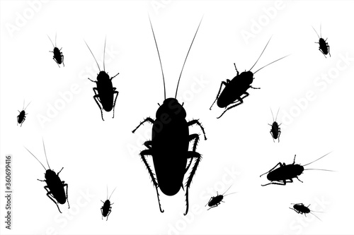 Vector silhouette of group of cockroach. Symbol of insect.