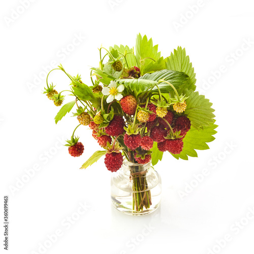 Wild srewberries with leaves isolated on white background. Red fragaria