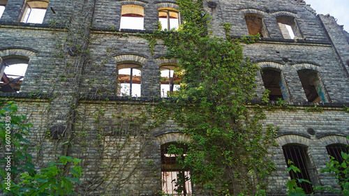 Hildebrand's Mill photo