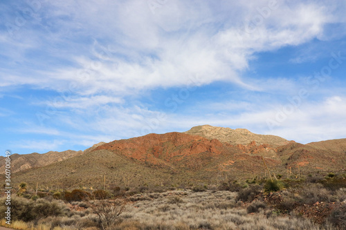 desert landscape in arizona