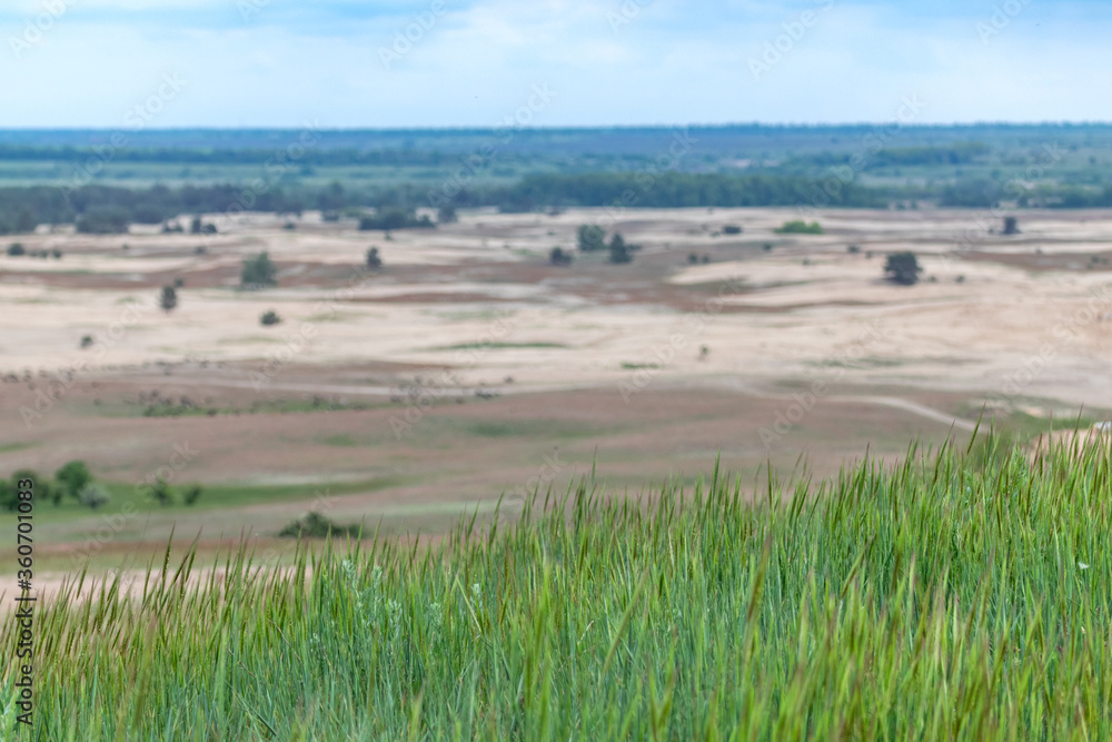 Green vivid green grass with desert dry valley view. Kitsevka desert hilly sands in Ukraine, Kharkiv region landscape
