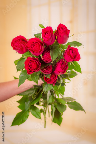 Women hand holding a bouquet of Hot Spot roses variety, studio shot.