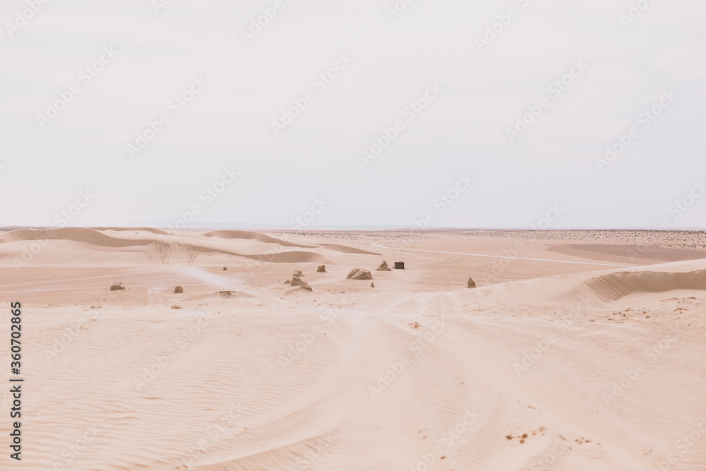 Fototapeta premium Landscape of endless desert with red sand with traces of a safari.