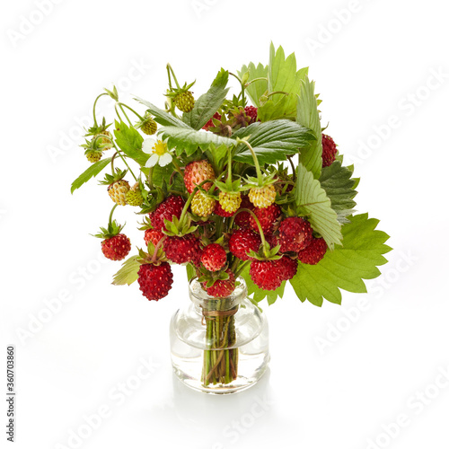 Wild srewberries with leaves isolated on white background. Red fragaria