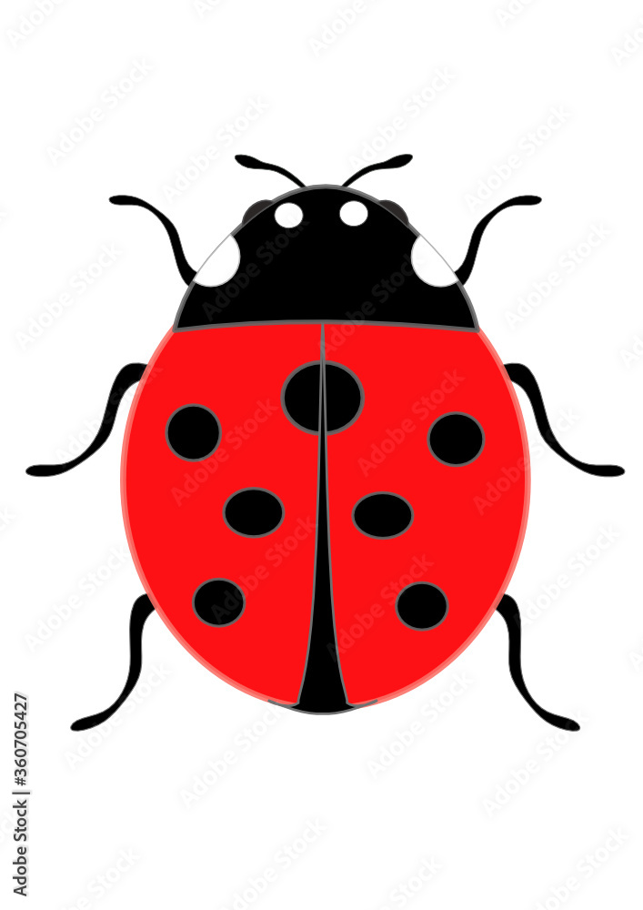 Cute little ladybug as sign of good luck and good fortune with red wings and seven black dots on the back shows the natural luck, hope and fortune as beetle insect as scalable vector graphics
