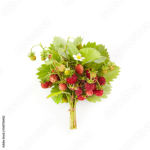 Wild srewberries with leaves isolated on white background. Red fragaria