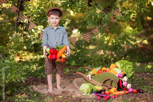 Healthy eating concept. Happy boy with vegetables on the nature. A little gardener collects a crop of vegetables. Delivery of products