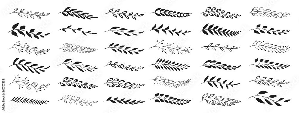 Set of black laurels branches. Flower ornament dividers collection. Vintage laurel wreaths. Hand drawn vector laurel leaves decorative elements. Leaves, swirls, award, icon. Vector illustration. Set of black laurels branches. Flower ornament dividers collection. Vintage laurel wreaths. Hand drawn vector laurel leaves decorative elements. Leaves, swirls, award, icon. Vector illustration.