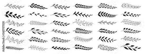 Set of black laurels branches. Flower ornament dividers collection. Vintage laurel wreaths. Hand drawn vector laurel leaves decorative elements. Leaves, swirls, award, icon. Vector illustration.