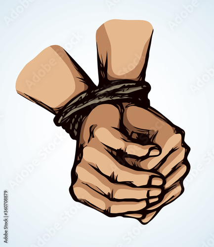 Roped bound hands. Vector drawing