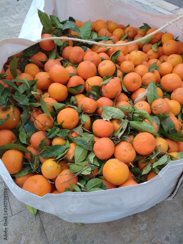 saco de naranjas