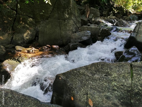 white brook