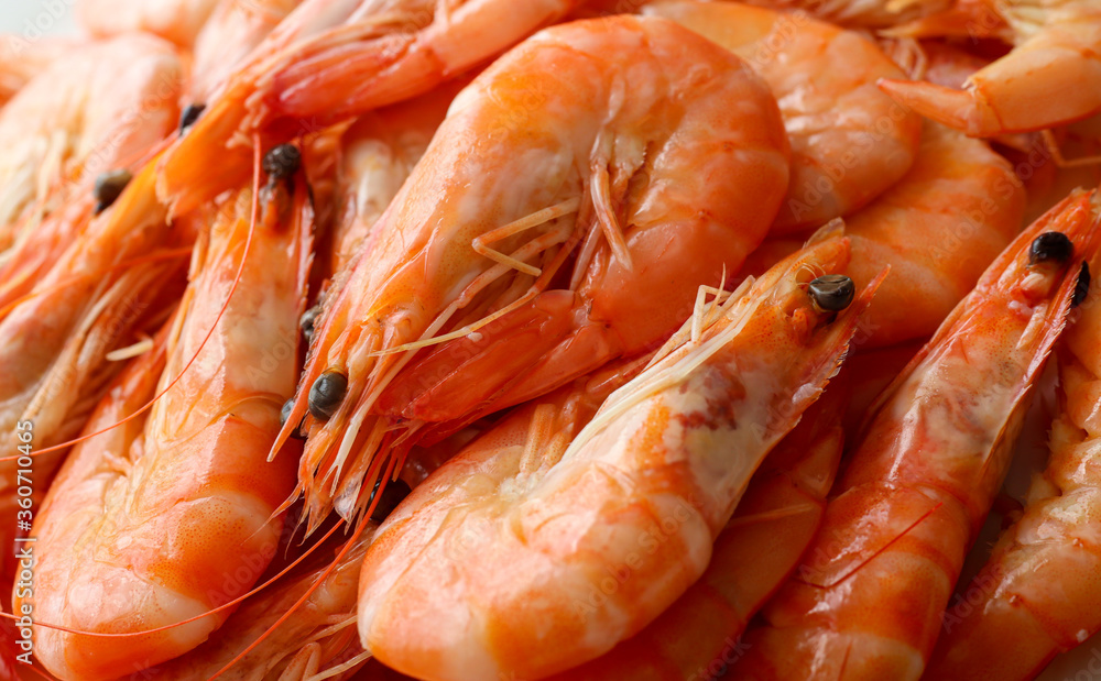 Boiled shrimps delicious seafood close-up Boiled shrimps delicious seafood close-up