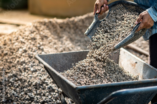 The laborers were scooping stones with a hoe in the buckets. And pour it into the wheelbarrow. In order to transport the stone to the cement mixing point for the wall construction photo