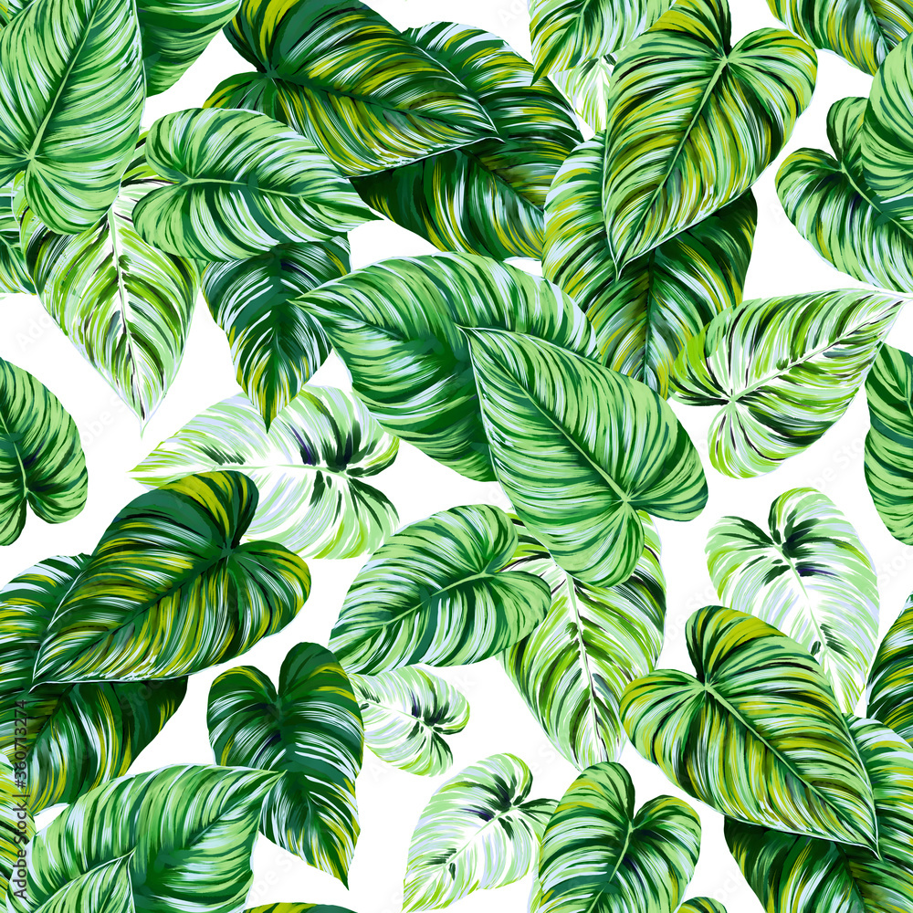 Seamless pattern with green striped philodendron leaves on a white background. Decorative botanical exotic illustration wallpaper. Seamless pattern with green striped philodendron leaves on a white background. Decorative botanical exotic illustration wallpaper.