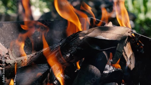 Burning firewood in a fire. Bonfire close-up.