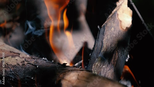 Burning firewood in a fire. Bonfire close-up.