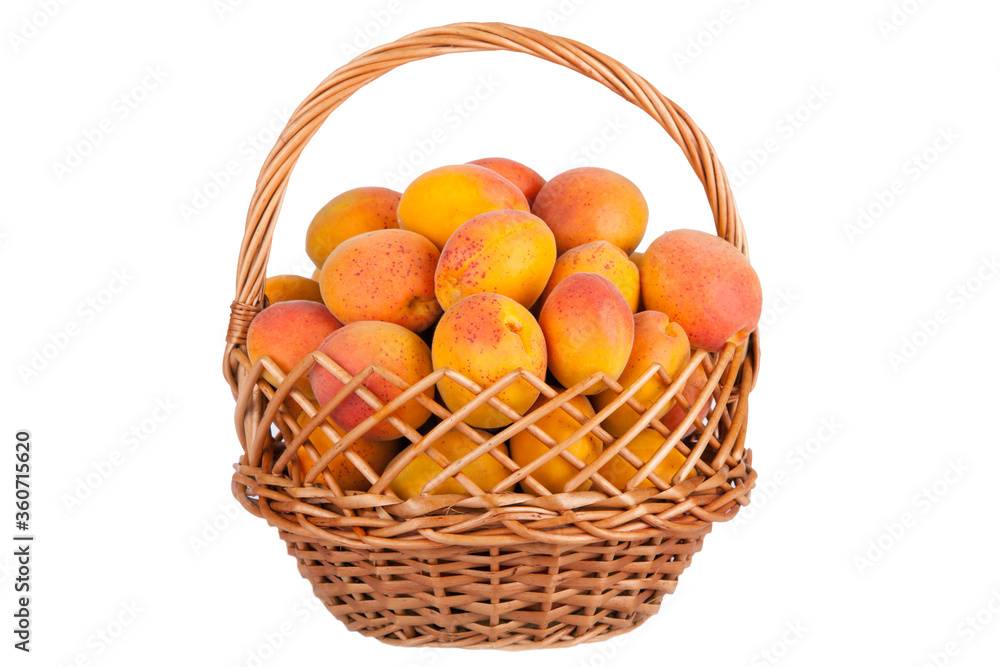 Apricots fruit in basket isolated on white Apricots fruit in basket isolated on white