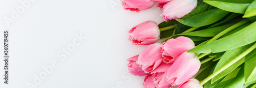 Fototapeta Naklejka Na Ścianę i Meble -  Bunch of pink tulips against white background.