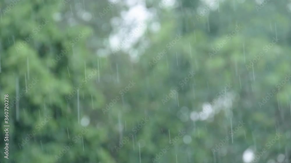 Heavy Rain in front of a blurry Background with Bokeh Heavy Rain in front of a blurry Background with Bokeh