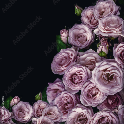 Beautiful Roses Bouquet. Pink Flowers on black background. Holiday concept  Greeting card  top view  flat lay  copy space for text