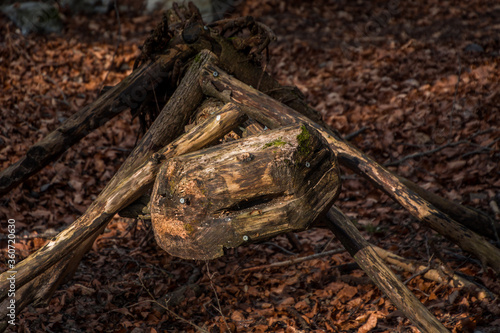 Wallpaper Mural Large size of ant made of wood in botanical park Arboretum Torontodigital.ca