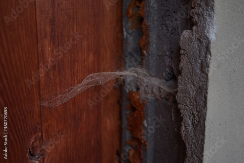 
spider web on old doors