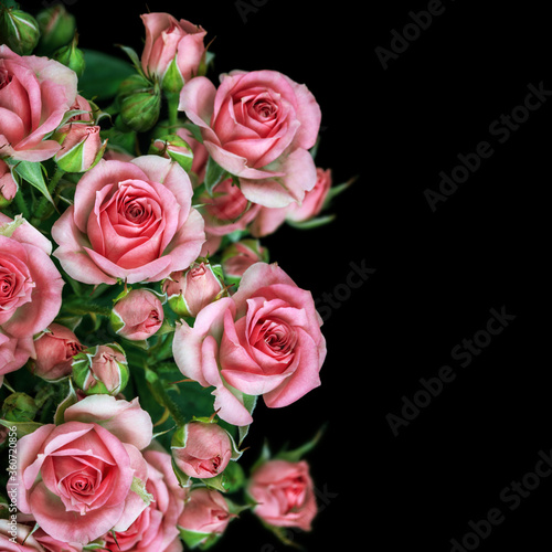 Beautiful Roses Bouquet Flowers on black  Background. Space for text © IULIIA AZAROVA
