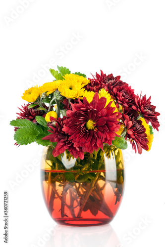 Chrysanthemum Flowers in vase isolated on white background