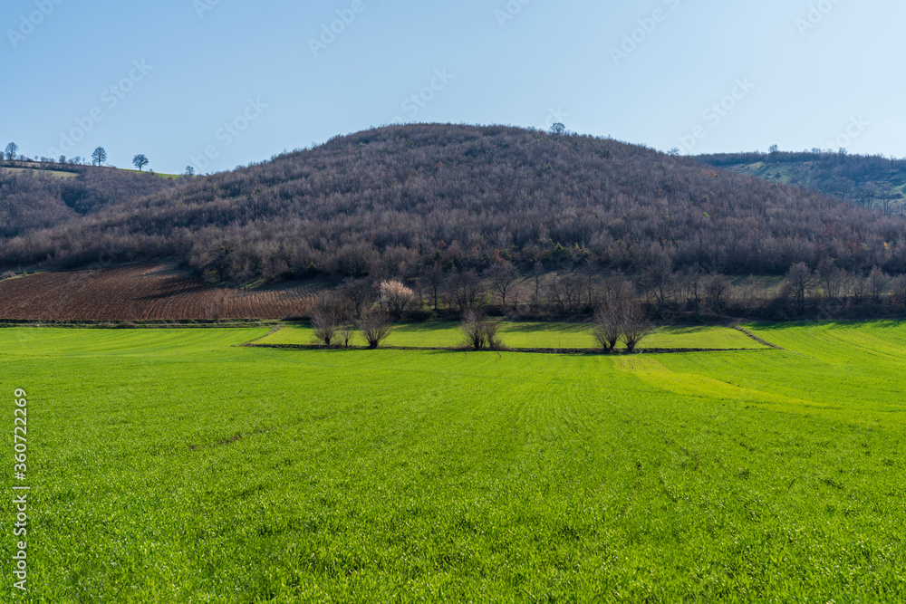 Agriculture, hilly landscape with cultivated fields