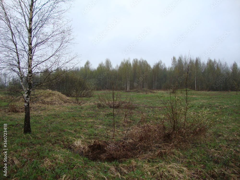 Military excavations near Novgorod the Great, Russia, 2011 (153) Military excavations near Novgorod the Great, Russia, 2011 (153)