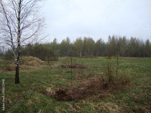 Military excavations near Novgorod the Great, Russia, 2011 (153)