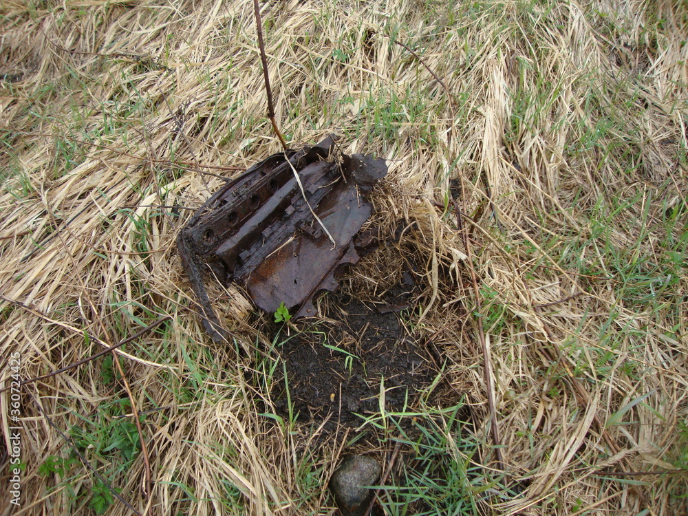 Obraz premium Military excavations near Novgorod the Great, Russia, 2011 (88)