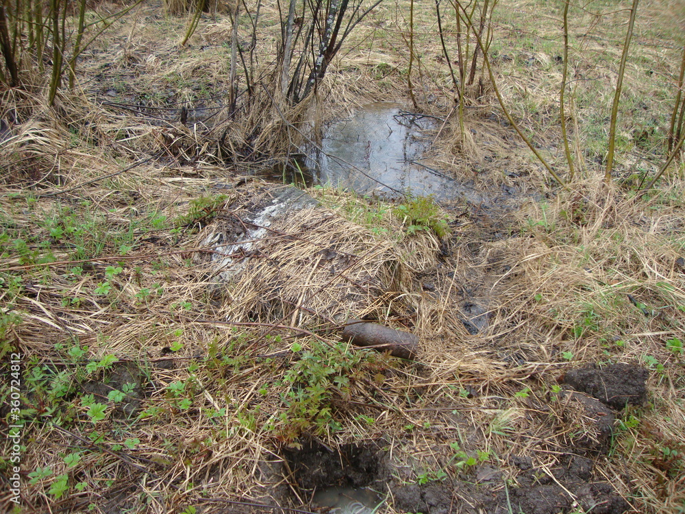 Military excavations near Novgorod the Great, Russia, 2011 (75)