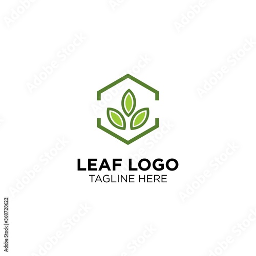 Leaf Logo Designs