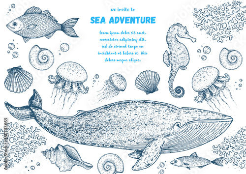 Sea animals hand drawn collection. Sketch illustration. Blue whale, sea horse, jellyfish, fish, seaweed, seashells illustration. Vintage design template. Undersea world.