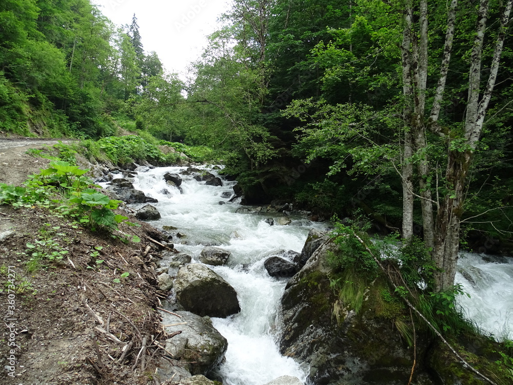 Fototapeta premium waterfall in the forest