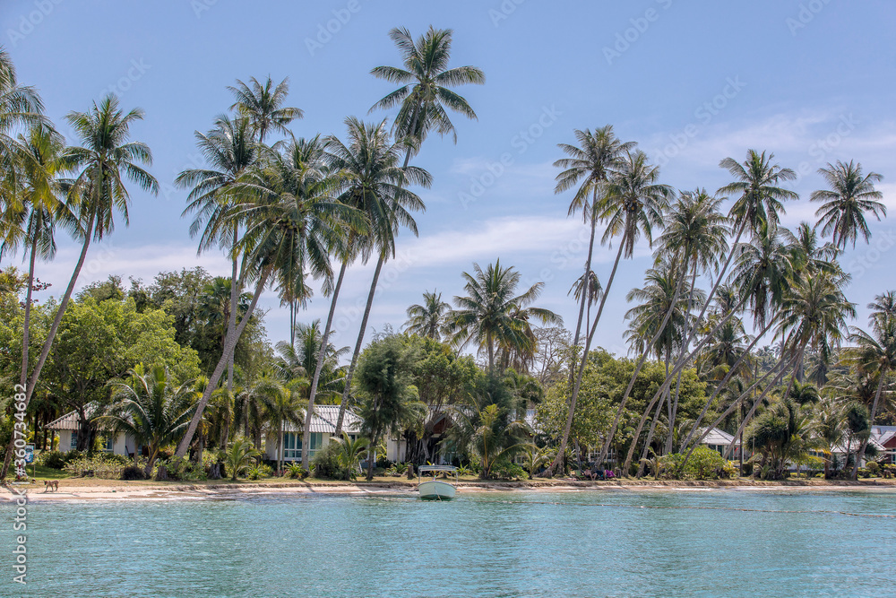 palm trees on the beach, Koh Mak beach, Koh Mak Island , Thailand. palm trees on the beach, Koh Mak beach, Koh Mak Island , Thailand.