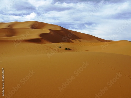 Sand dunes of Erg Chebbi under blue skywith white clouds  Morocco